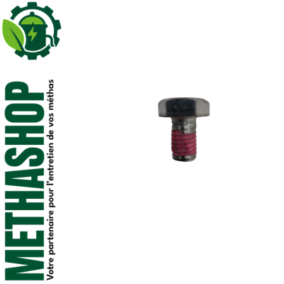 Vis à tête hexagonale pour VX136 et VX186